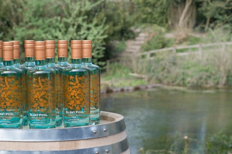 Cover Image for Gin Tasting with Silent Pool