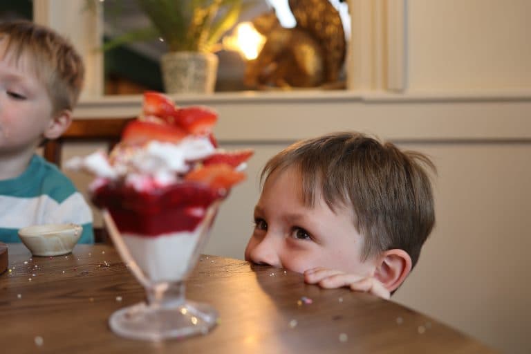 Cover Image for Your Kids Eat Free This Half Term at The Cricketers